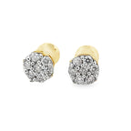 0.25 Ctw 10K Yellow Gold Diamond Cluster Stud Earrings