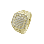 10K Yellow Gold Mens Cz Ring Size 12 3.8Dwt
