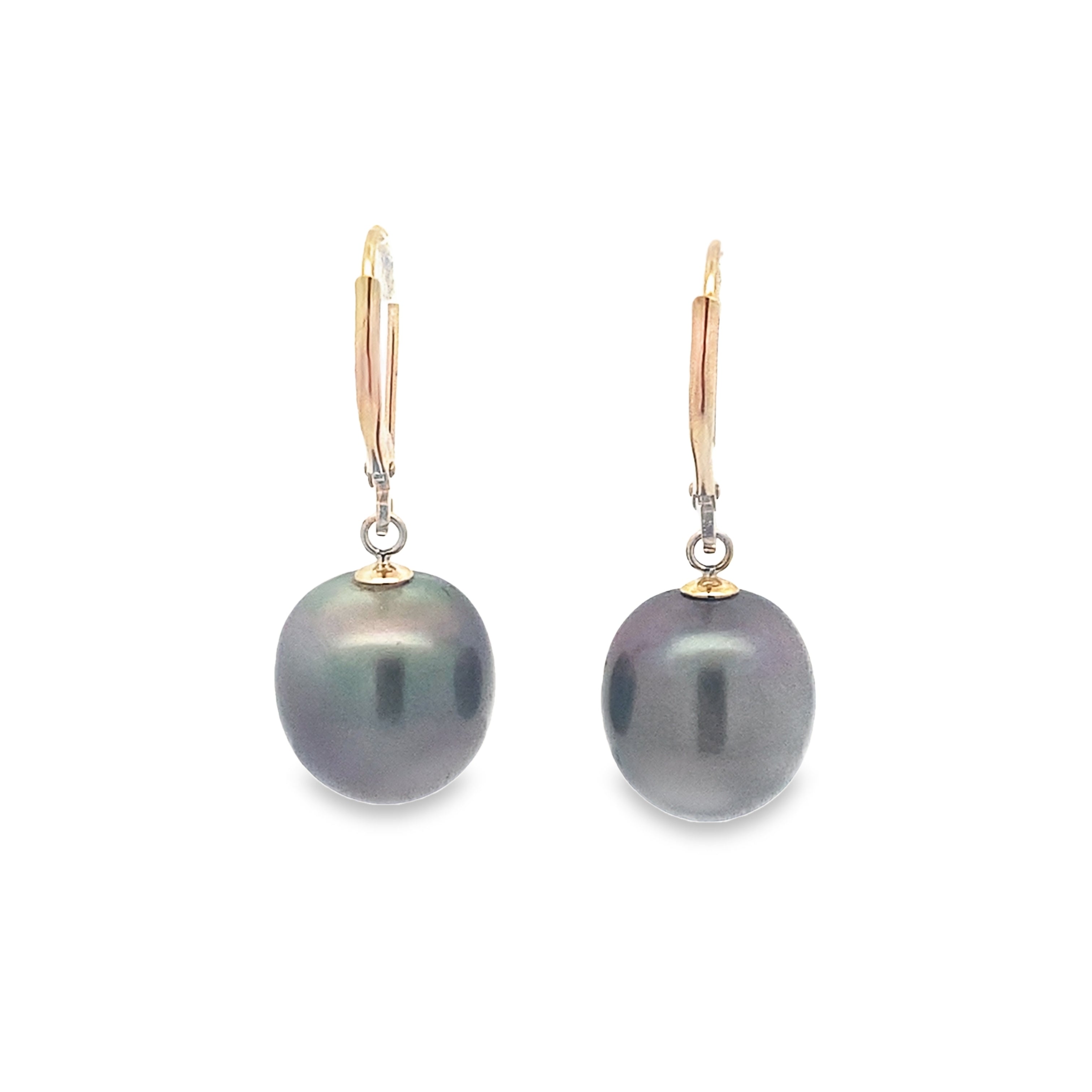 14K Yellow Gold Black Pearl Earrings 3.5Dwt