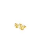 10K Yellow Gold Small Flower Stud Earrings 0.9Dwt