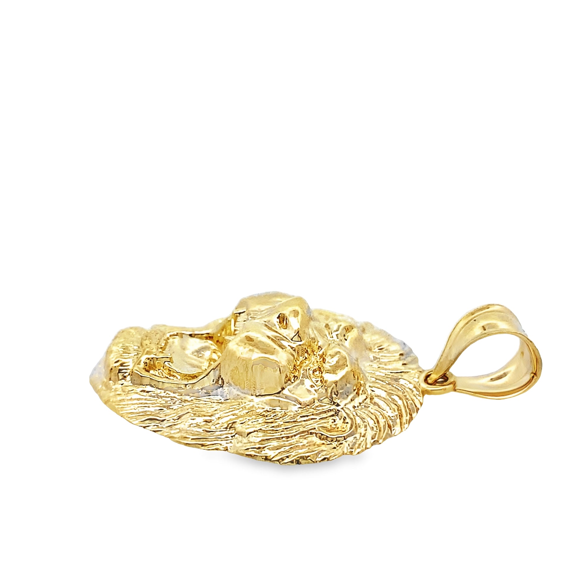 10K Yellow Gold Lion Head Pendant 3.1Dwt