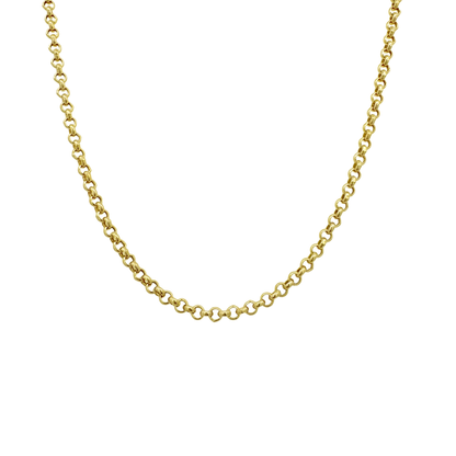 14K Yellow Gold Rolo Link Chain 2.5Mm 22In 2.8Dwt