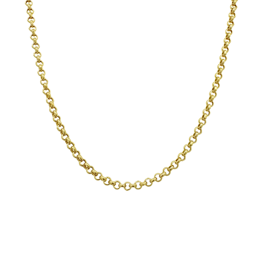 14K Yellow Gold Rolo Link Chain 2.5Mm 22In 2.8Dwt